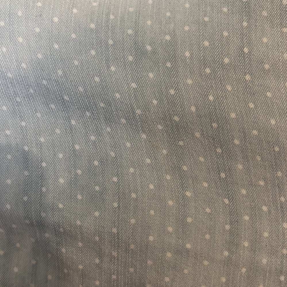 Rails button up chambray with white polka dots size small - Picture 2 of 4